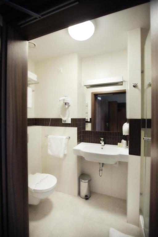 Hotel Termy Palacowe Nałęczów 객실 사진